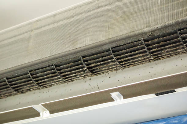 Best HVAC Duct Inspection Services  in Temple, TX